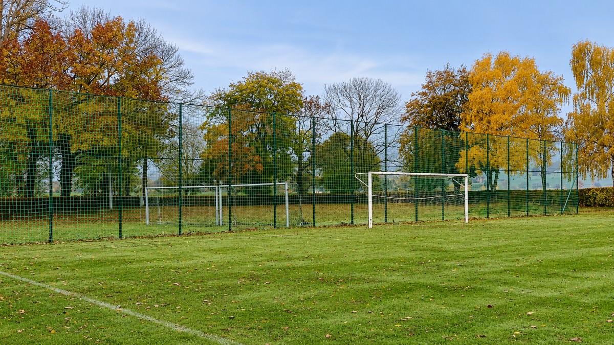 Ball Stop Net