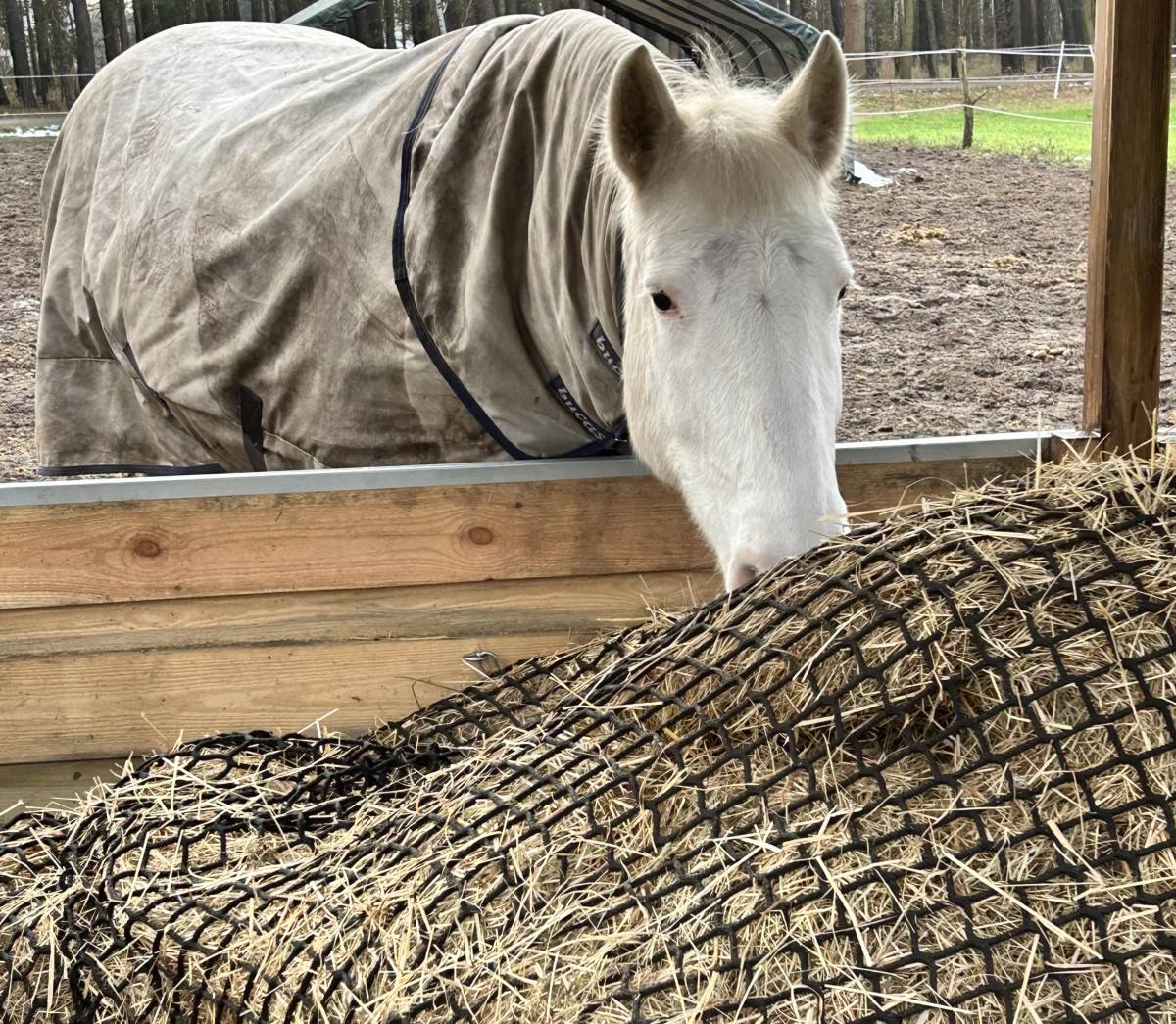 Hay Rack Nets