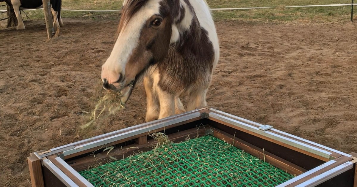 Hay Rack Nets