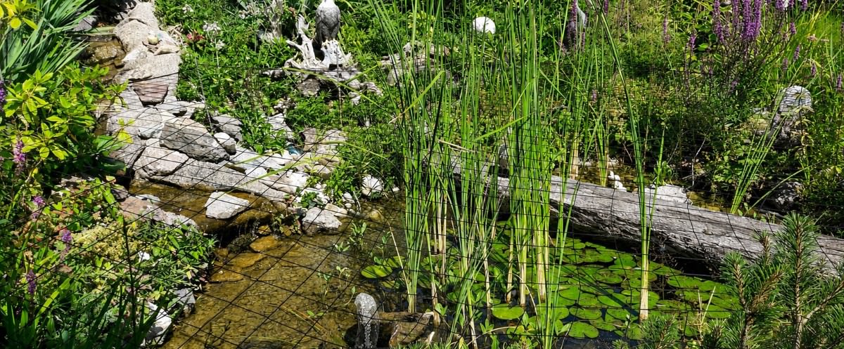Heron Protection Net