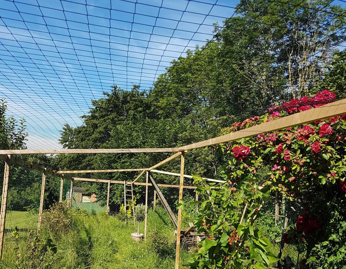 Aviary Netting