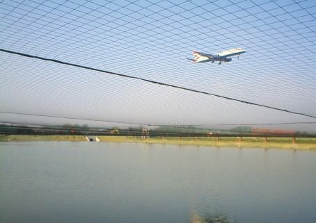 Pond/Pool Cover Net (Heron Protection Nets)